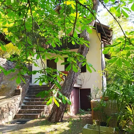 Torre Garden Home - Casa Singola Nella Citta Di Bolzano Con Giardino Privato Exterior foto