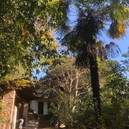 Torre Garden Home - Casa Singola Nella Citta Di Bolzano Con Giardino Privato Exterior foto