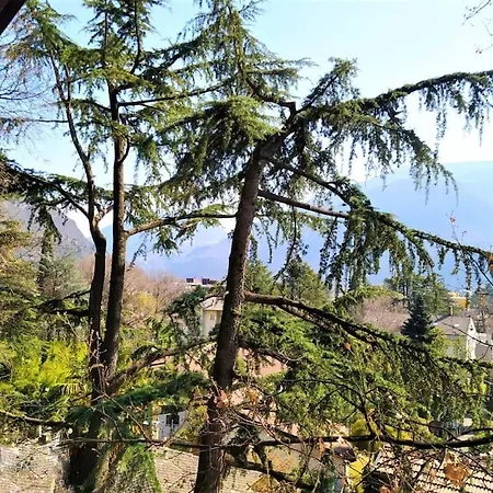Torre Garden Home - Casa Singola Nella Citta Di Bolzano Con Giardino Privato Exterior foto