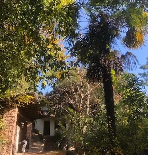 Torre Garden Home - Casa Singola Nella Citta Di Bolzano Con Giardino Privato
