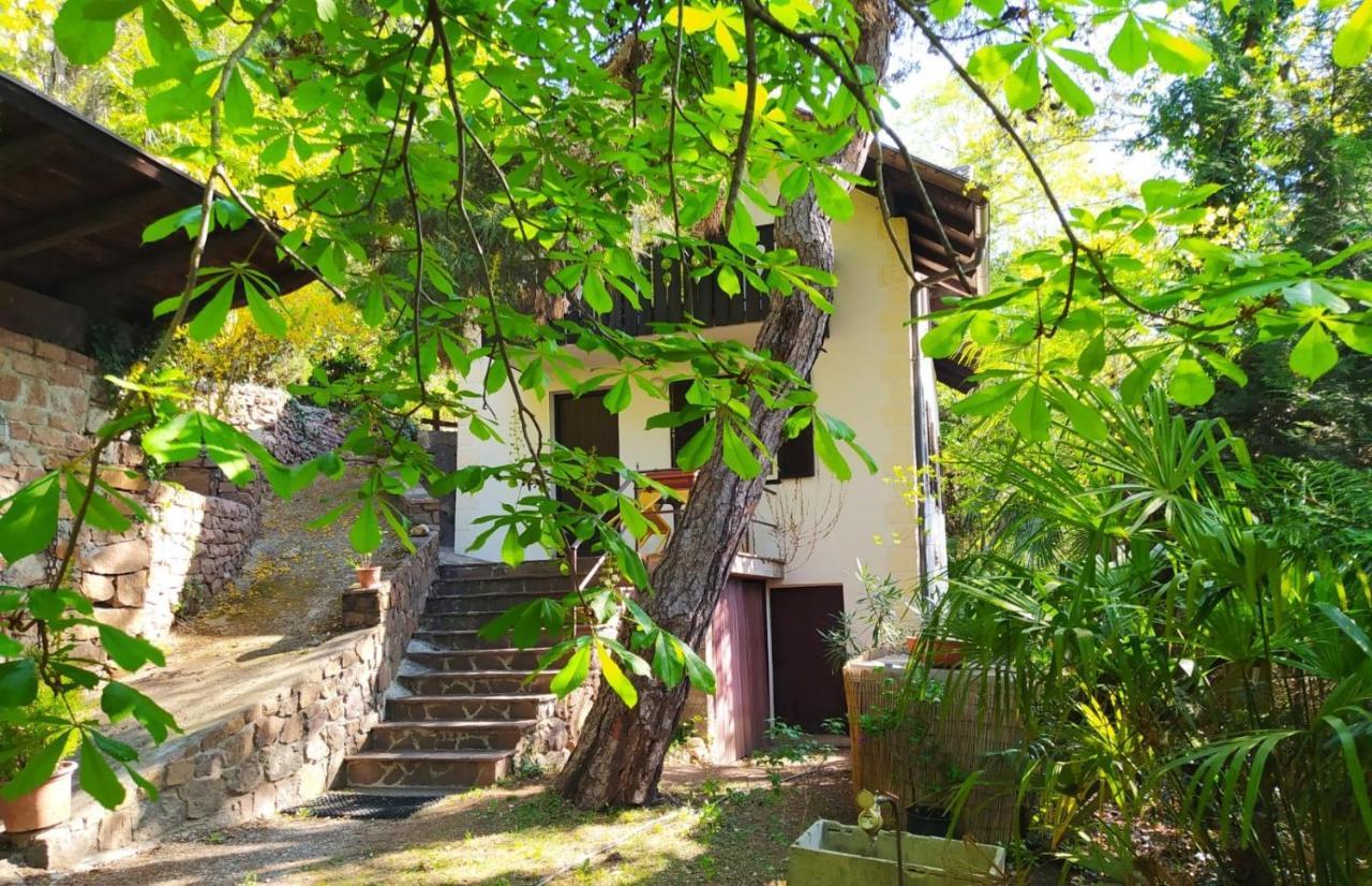 Torre Garden - Casa Singola Nella Citta Di Con Giardino Privato Holiday home *