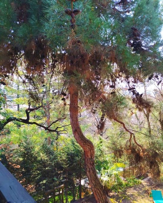 Holiday home Torre Garden - Casa Singola Nella Citta Di Con Giardino Privato Bolzano