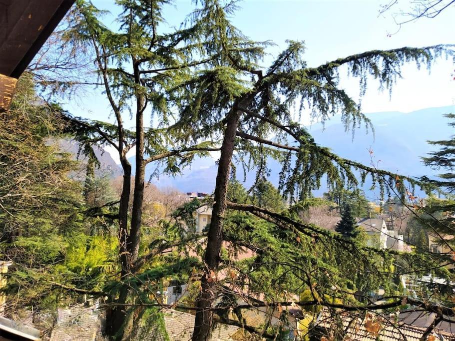 Torre Garden - Casa Singola Nella Citta Di Con Giardino Privato * Bolzano