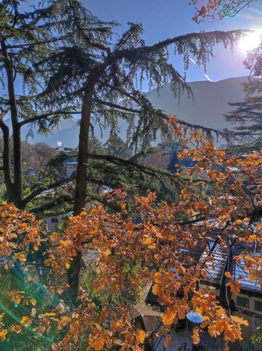 Holiday home Torre Garden - Casa Singola Nella Citta Di Con Giardino Privato *