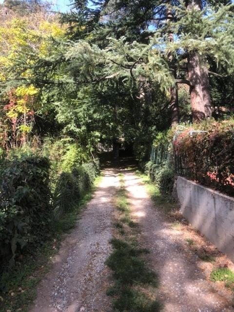 Torre Garden - Casa Singola Nella Citta Di Con Giardino Privato * Bolzano