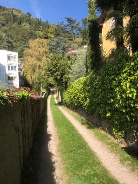 Torre Garden - Casa Singola Nella Citta Di Con Giardino Privato